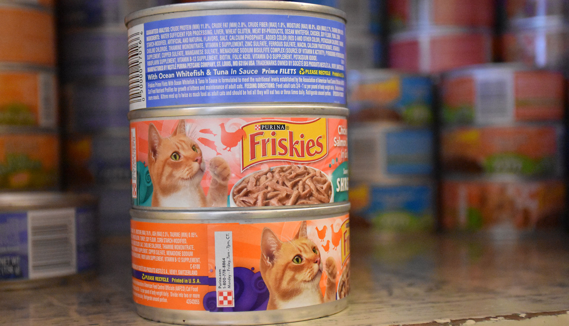 Some of the cat food is kept in a cabinet inside the main cat shelter room. According to Andrew Bianco, program trainer, cats generally are fed Friskies unless they get donations of other food brands from PetsMart. Since cats do not tend to drink a lot of water, the shelter makes sure the cats get their daily intake of moisture by feeding them wet food in the morning roughly around 8:30 a.m. Bianco said. The shelter free feeds the cats by placing out dry food for the remainder of the day.