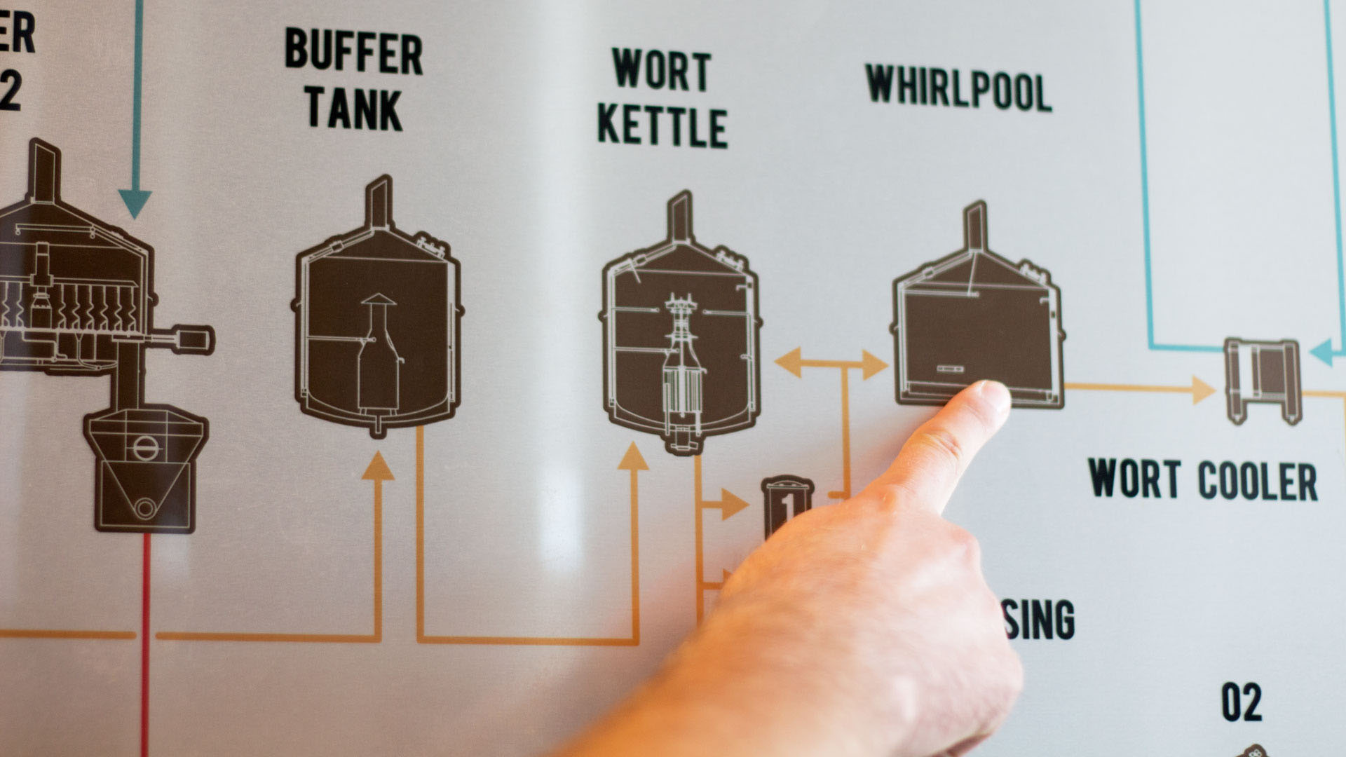 The whirlpool separates the leftover grains, sugars and necessary enzyme-amalays from the extraction process and mixes the latter two with malts, hops and other flavor enhancers. 'This is where you separate the aromas from the tastes - the hops is what's adding that bitterness to beer that some people hate,' Wilkins says. 